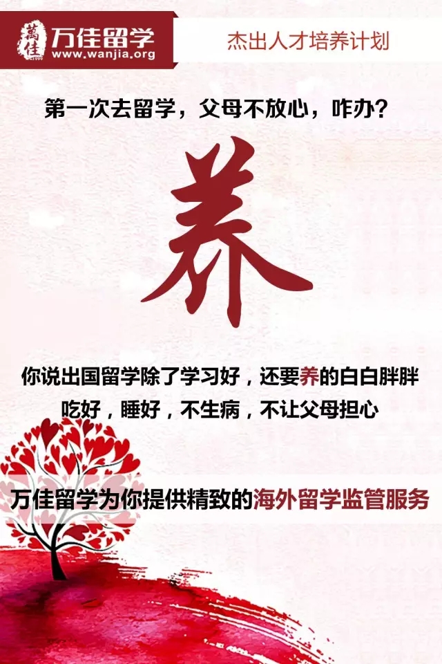 杰出人才培養(yǎng)計劃